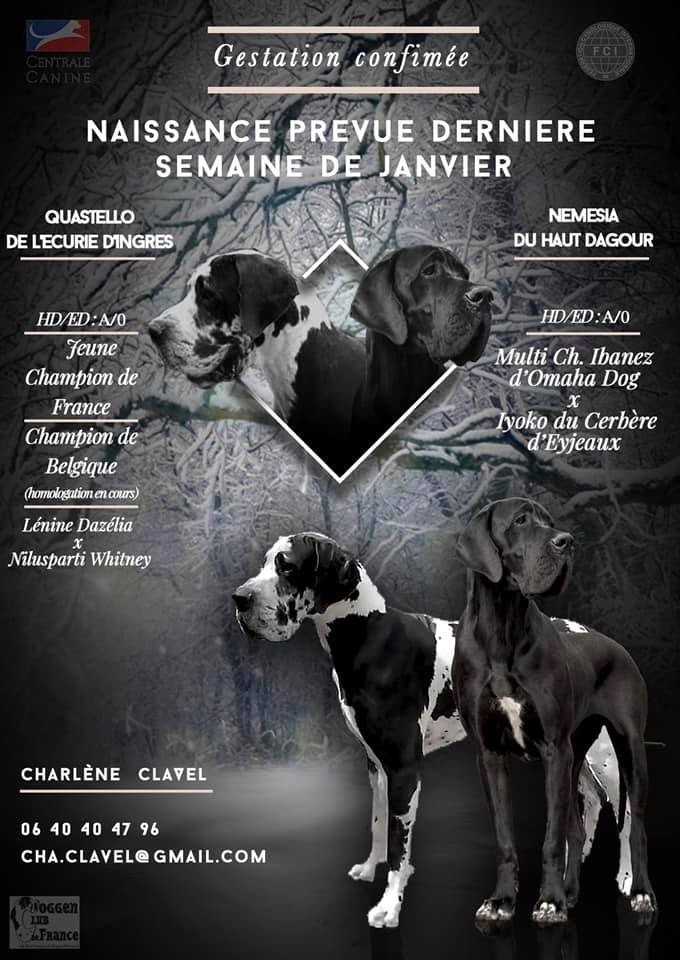 Portée R du 26.01.2020